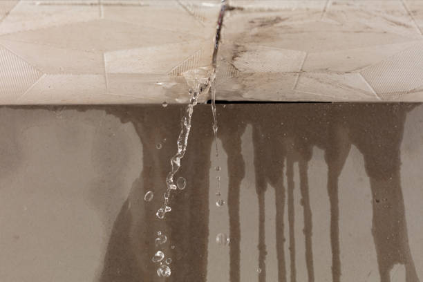 Professional Flood Damage Cleanup technician working in Kiowa, CO